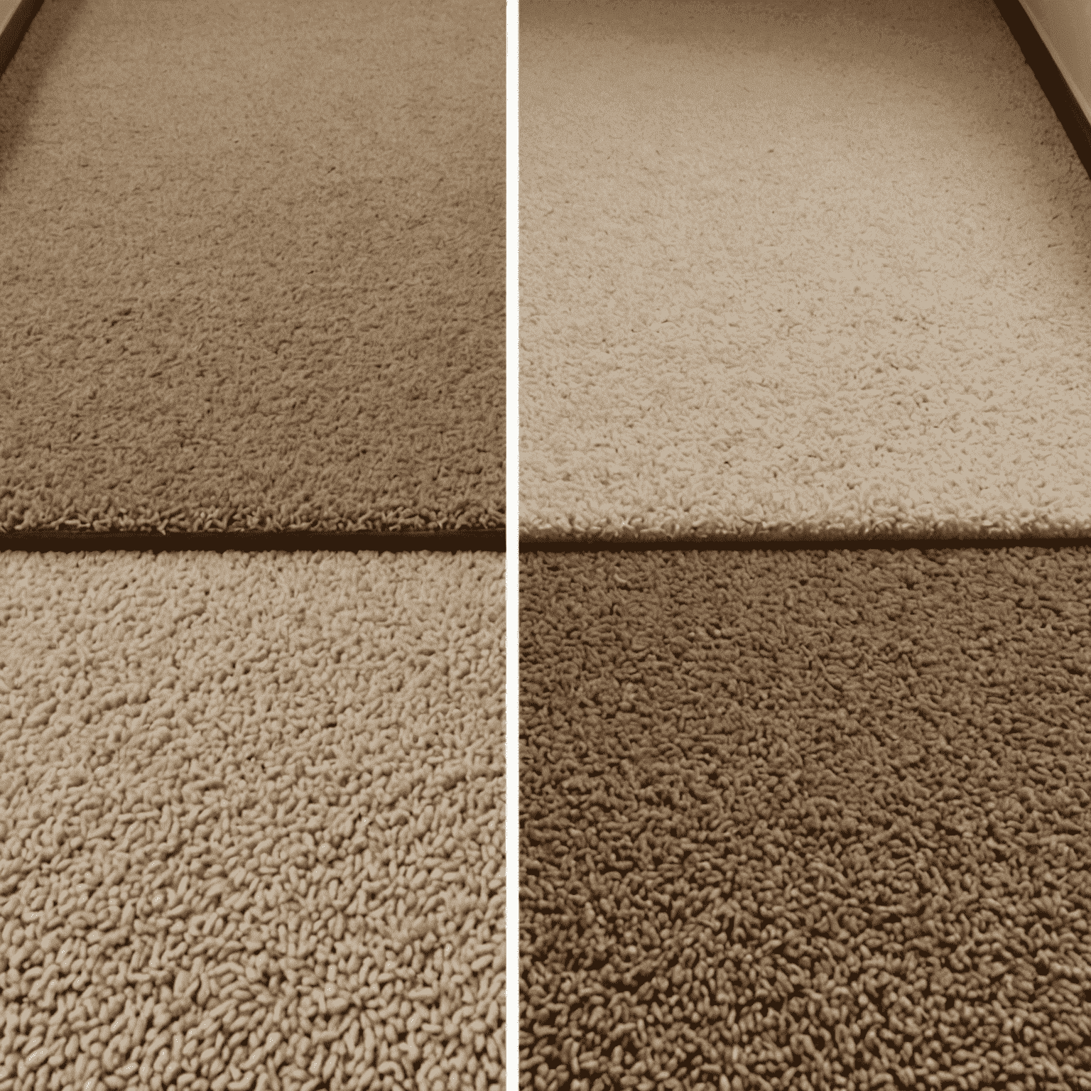 A split image showing a stained carpet on the left and a clean carpet on the right, demonstrating the before and after of stain removal